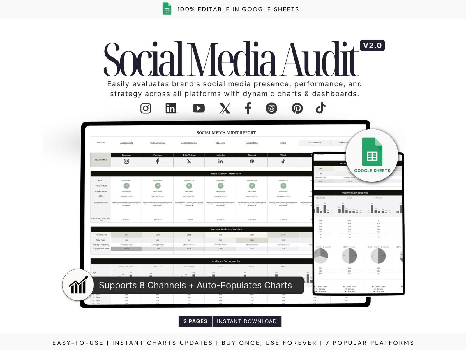 This photo shows Social Media Audit Report - Sheets - Instant Download
