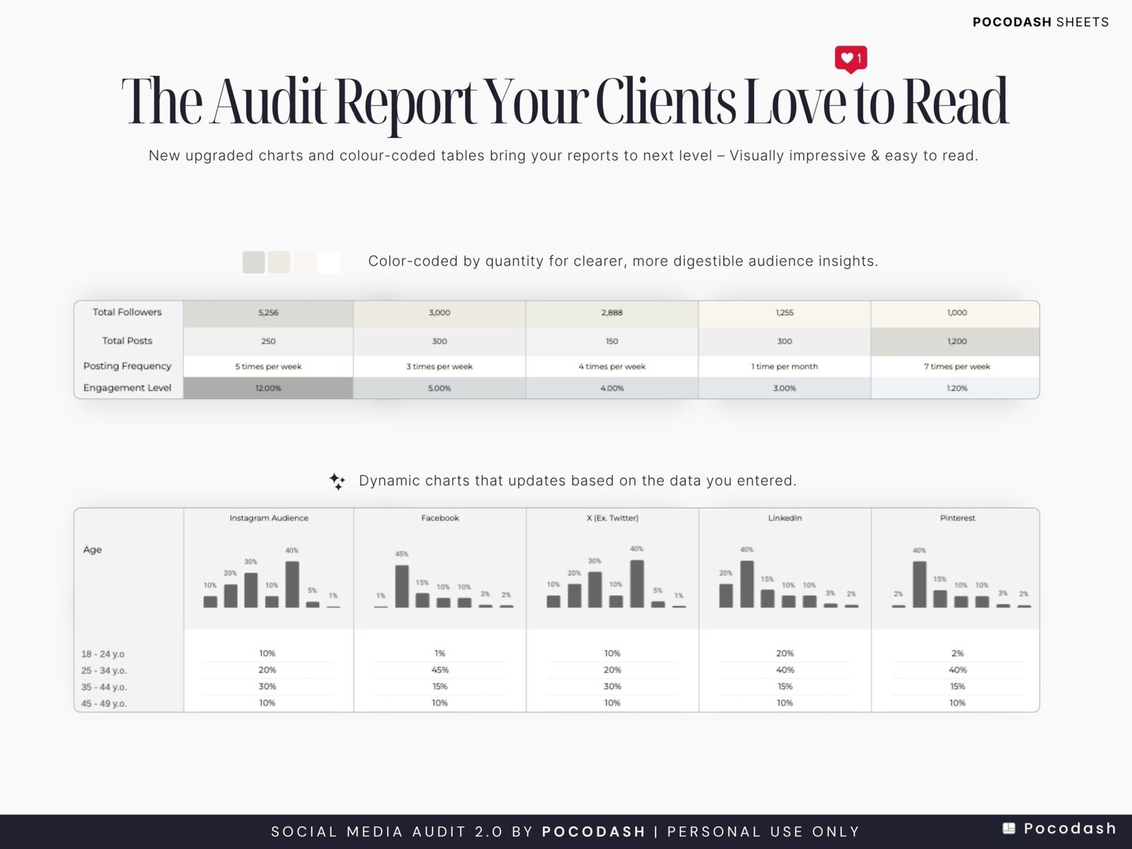 This photo shows Social Media Audit Report with Charts & Aesthetic Designs