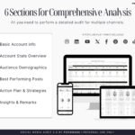 This photo shows What Info to Include In Your Social Media Auditing Results for Client Report