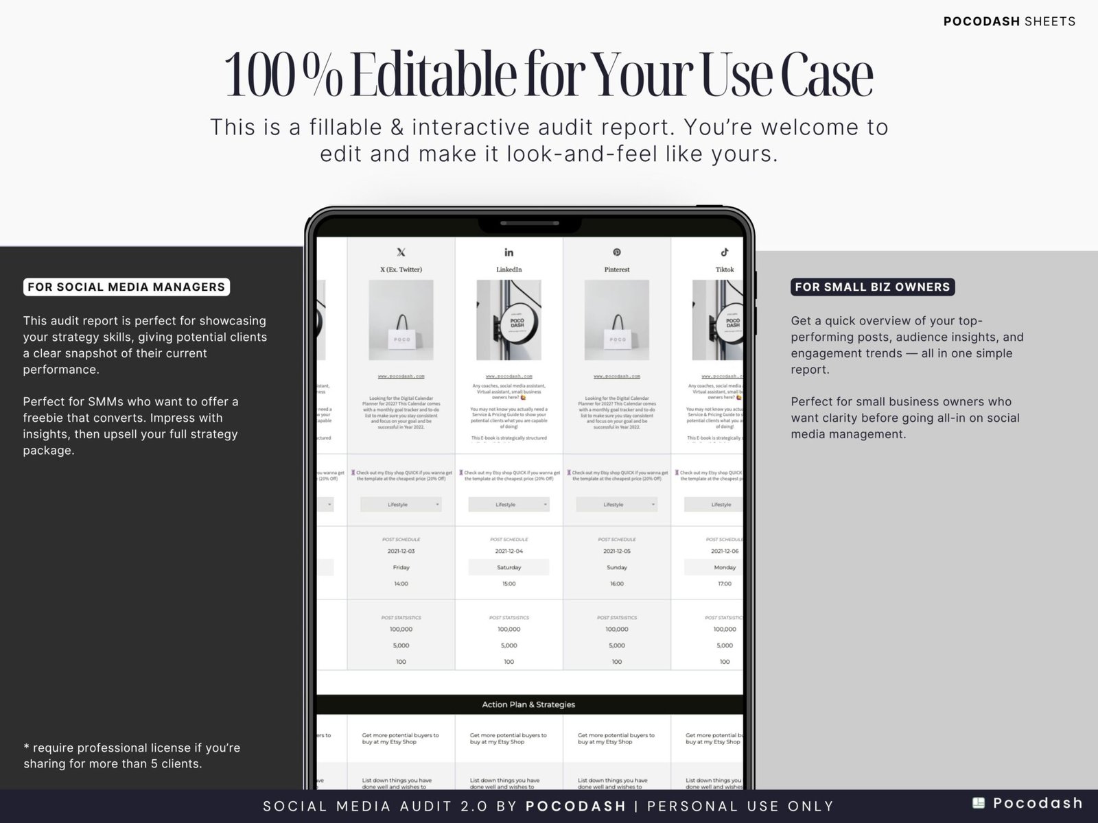 This photo shows Editable & Fillable Social Media Audit Planner Template